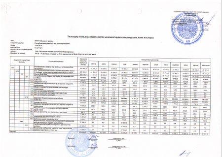 2020 жылға қаржылық жоспар